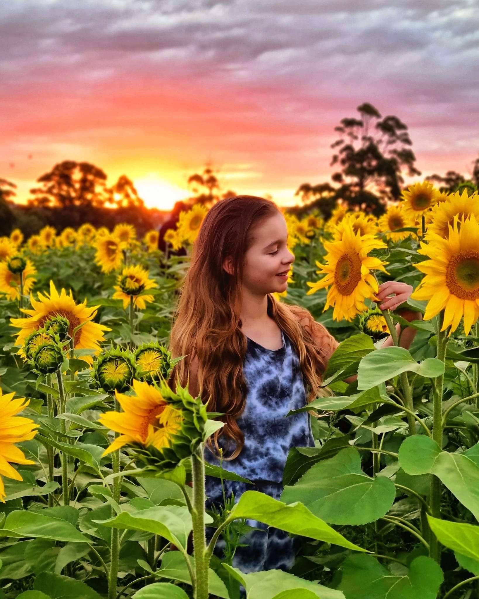 Mount Gnomon Farm Best experience in North West Tasmania